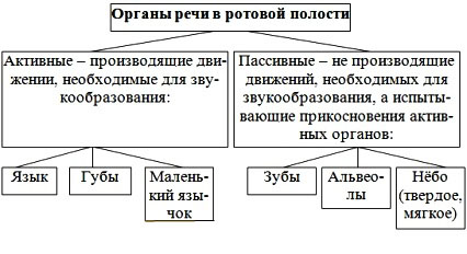 РЕЧЕВОЙ АППАРАТ органы речи