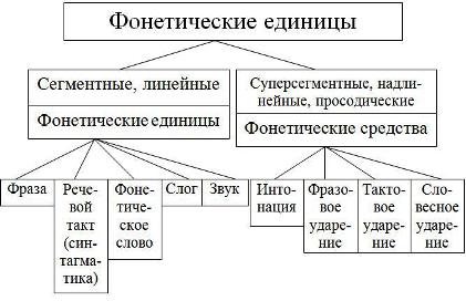 Фонема как минимальная единица плана выражения языка