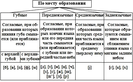 Схема последовательность появления в речи ребенка звуков родного языка схема