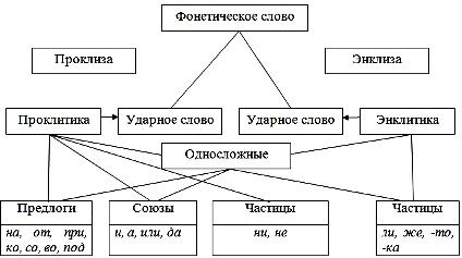 Фонетические слова примеры слов. Фонетические слова примеры. Фонетические слова примеры. Характеристики речевого такта. Фонетические слова примеры.