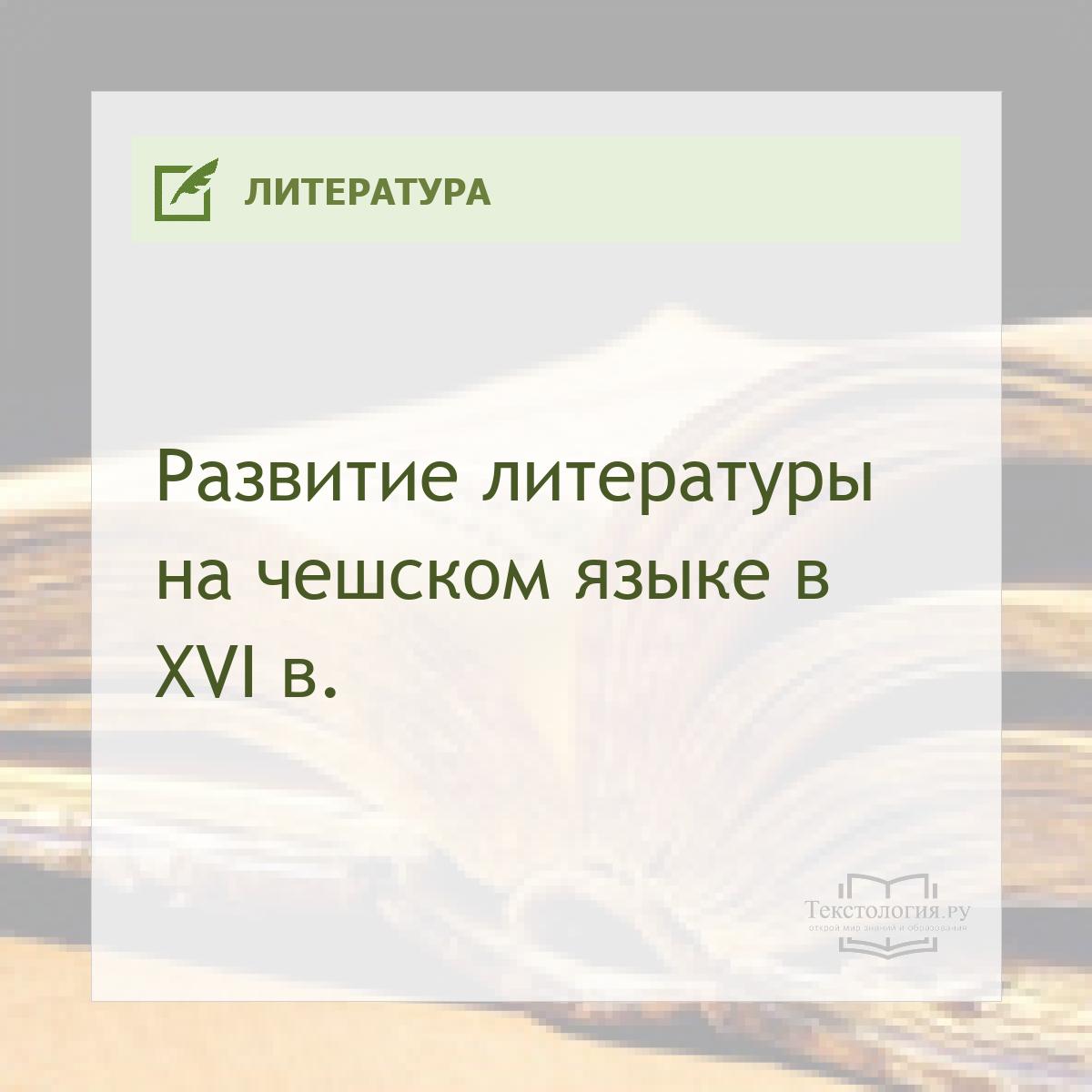       XVI .