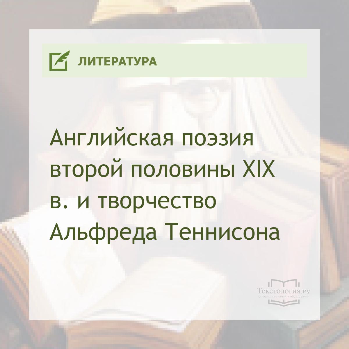     XIX .    